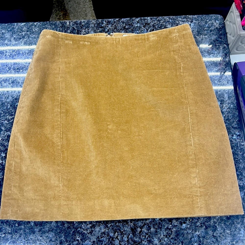 Sunday Best (Aritzia) Corduroy Mini Skirt
